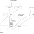 hr_18_juli_2025_-_structuurschema_inhoudingsvrijstelling_dividendbelasting.jpg